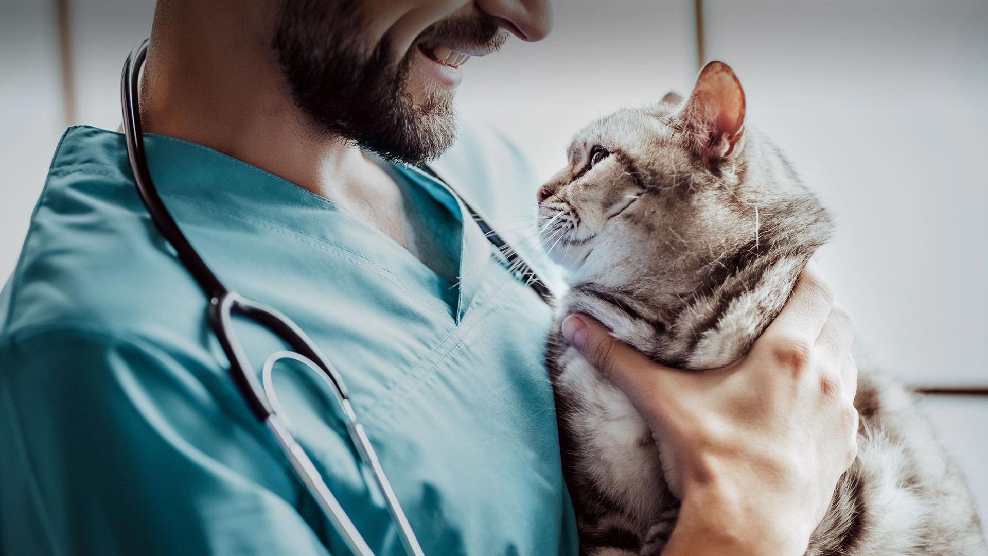 Sarıoğlan Veteriner